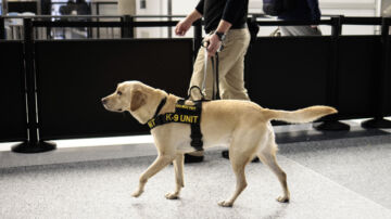 加州拟立法禁警犬咬嫌犯 引担忧