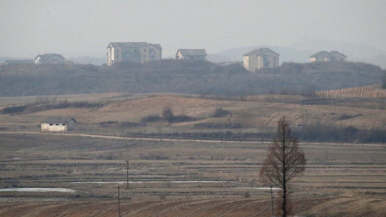朝鮮饑荒：傳居民挖寵物狗屍體充飢