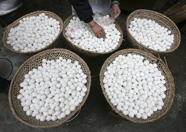 紅豆糯米粉漲1成 元宵1顆跟漲3元 買氣不減