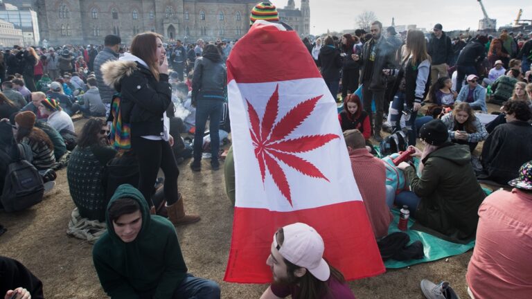 毒品非刑事化遭譴責 加國保守黨籲改革