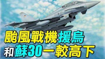 【探索時分】英颱風戰機援烏 和蘇-30一較高下