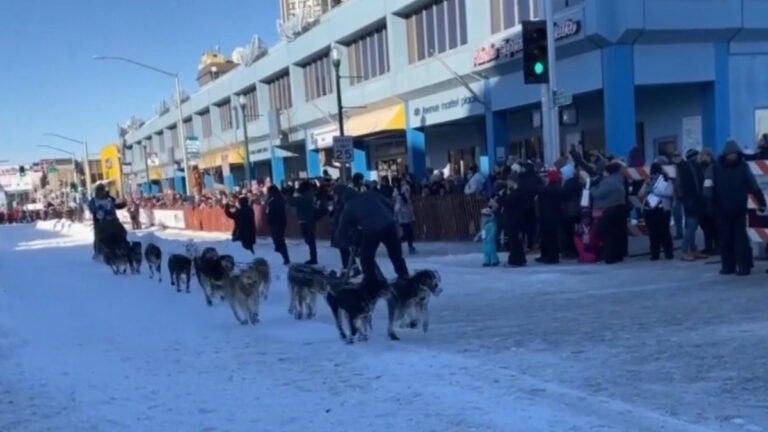 美國阿拉斯加年度狗拉雪橇比賽開跑