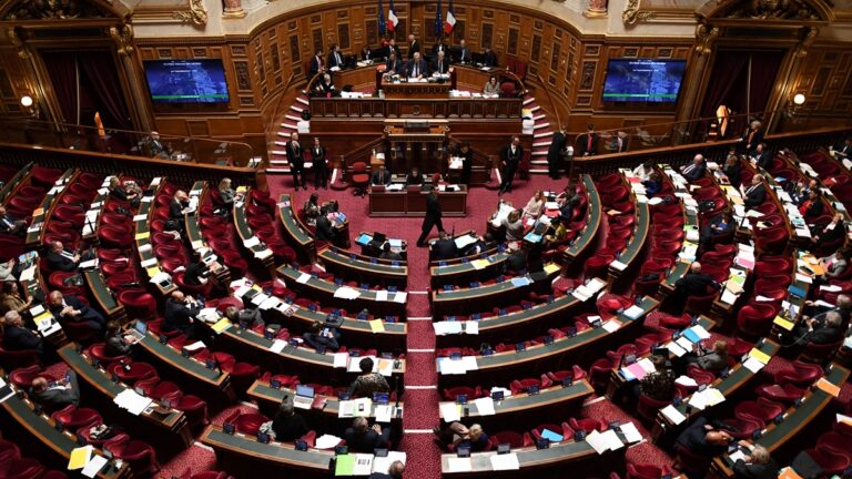 邁出關鍵一步 法國參議院通過養老金改革法案
