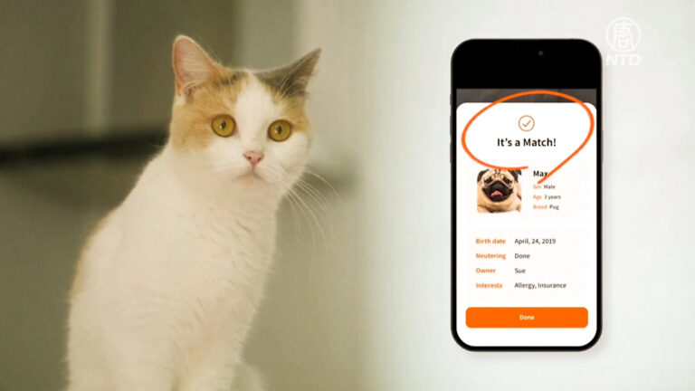 【大千世界】韓國創犬貓「鼻紋」App 建立寵物身分證
