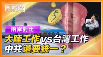 【林澜对话】两岸对比惊奇：青年找工作，哪边更难？