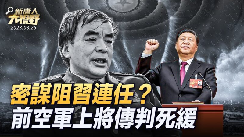【大視野 中國情報局】密謀阻習連任？劉亞洲被抓內幕