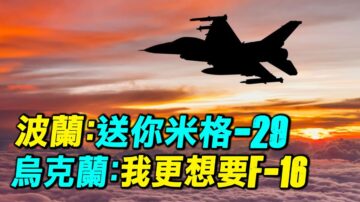 【探索时分】波兰送米格29 乌克兰：更想要F16