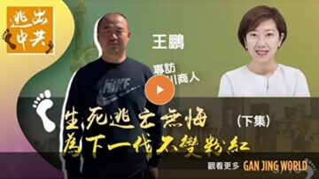 【報料傳真】王鵬生死逃亡 為下一代不變成粉紅