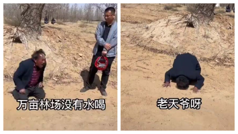自費植林萬畝 寧夏「治沙英雄」哭訴被斷水(視頻)