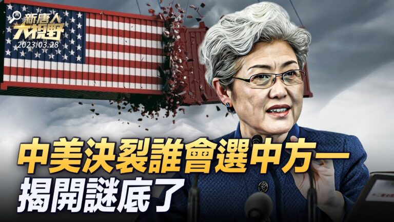 【大視野 冷戰觀察室】中美決裂 誰會選邊站到中方一邊？