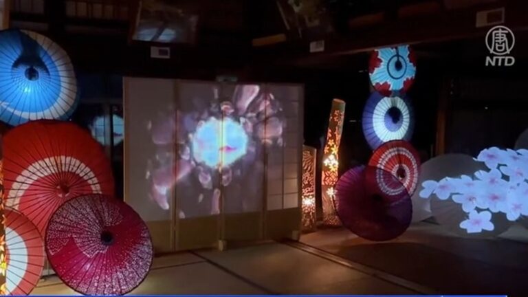 川原寺「幻櫻之夜」投影賞櫻回顧古寺歷史