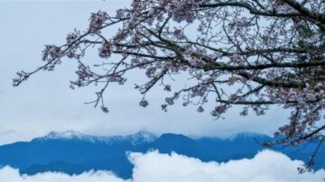 不是愚人節 台灣雪山罕見4月雪