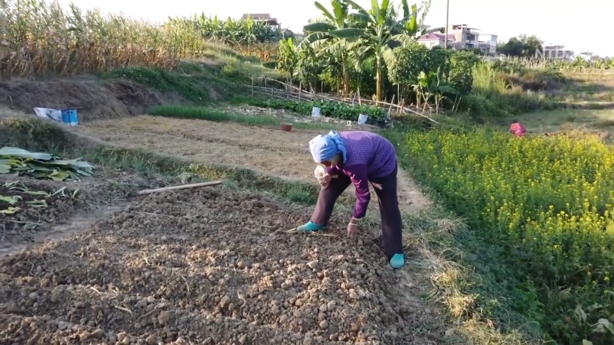 【禁闻】中共财政吃紧 多地政府清理编外人员