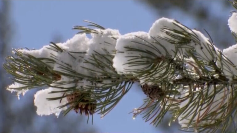 加州大氣河流過後 積雪深度破歷史紀錄