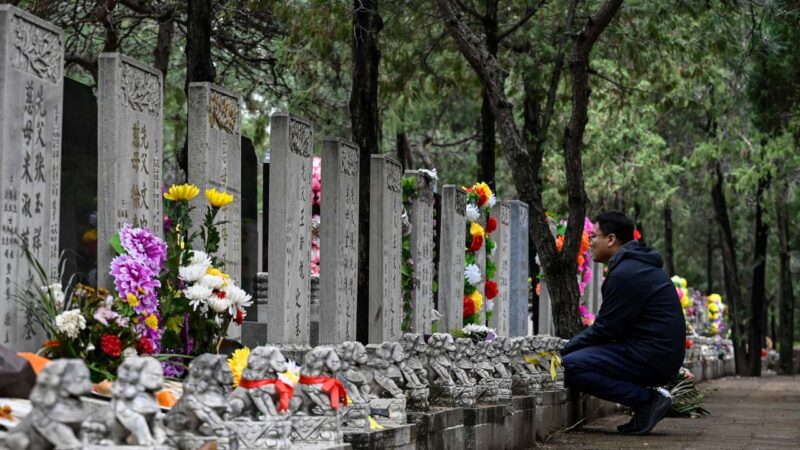 上海新墓穴76萬1平米 一線城市墓地升至天價
