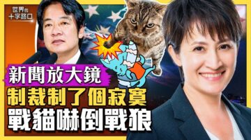 【十字路口】透视中共制裁秀 战猫吓倒战狼？