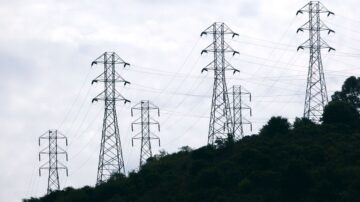 加固電網防範野火季 電力公司推三年計劃