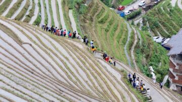 城管之後又添8萬「農管」 民眾憂農村將鷄飛狗跳