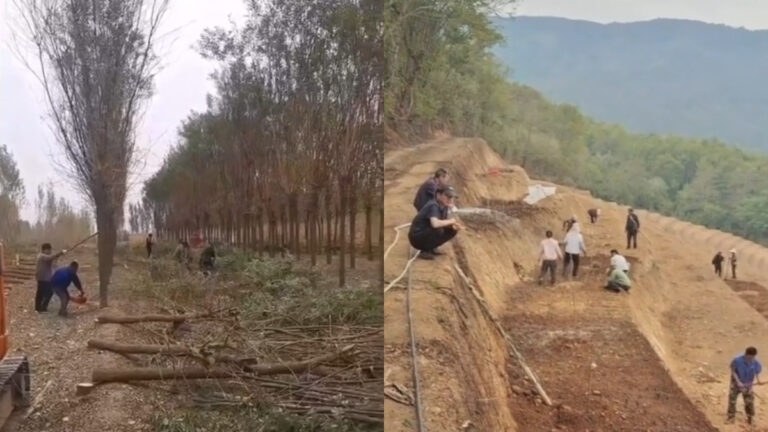 中國各地毀林造田 農民怨聲載道
