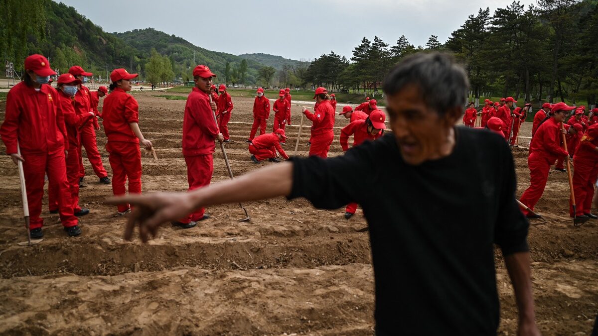 【禁闻】「农管」下乡维稳 农民怨连种地都没自由