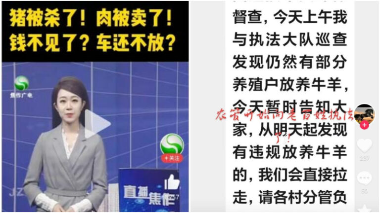 農管搶完鷄鴨抓牛羊 當年扣押賤賣50頭豬消息又熱傳