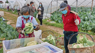 【禁闻】中共发文改革 农村土地承包经营权或生变