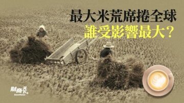 【财商天下】最大米荒席卷全球 谁受影响最大？