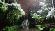 中國多地現異常天氣 穀雨變「穀雪」（視頻）
