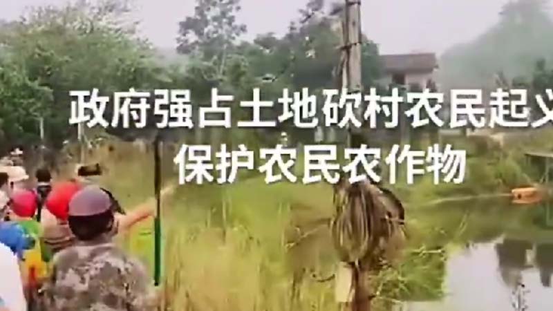 传海南强征砍青苗 村民们怒挥砍刀反抗（视频）