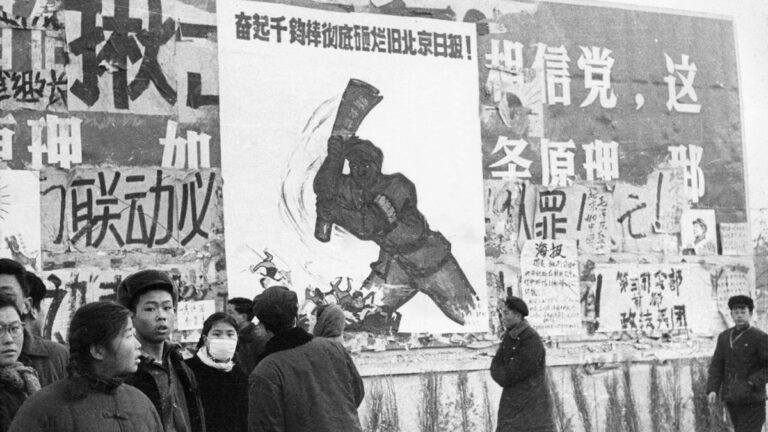 王友群：這個紅二代為何說「恨死文革了」？