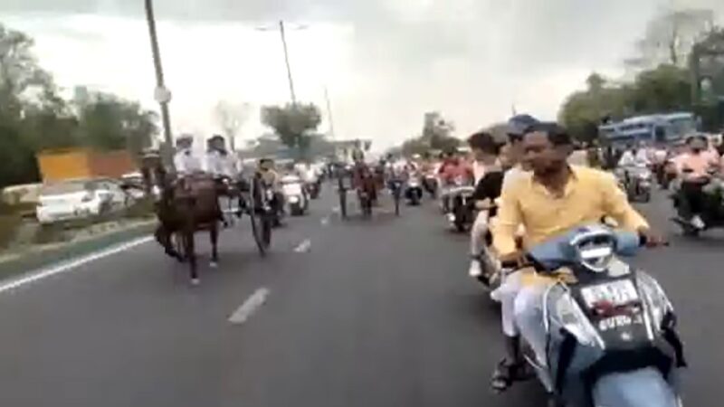 印度德里街头成赛马场 马车失控撞障疑物吓坏路人（视频）