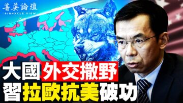 【菁英论坛】撒野掀外交风暴 习外交战略陷困境