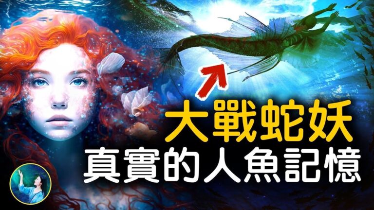 【未解之謎】美人魚探祕