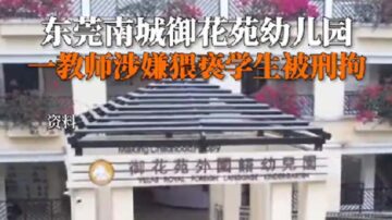 東莞幼園體育教師長期猥褻幼兒 其他老師也打孩子