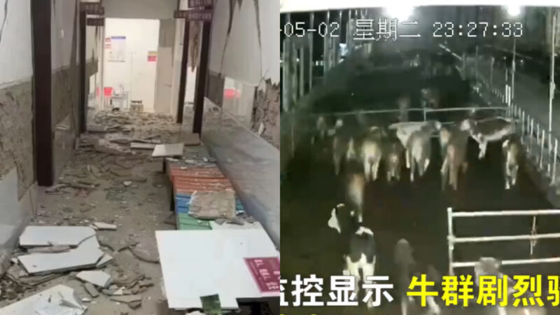 云南5.2级地震38次余震 数千间房屋损坏（视频）