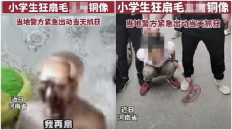 傳河南小學生在家怒搧毛澤東像 當天被抓（視頻）