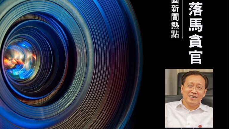 中共發改委副主任林念修被免職 曾傳性醜聞