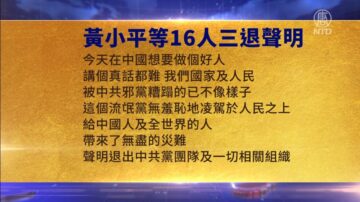 【禁闻】5月7日三退声明精选