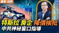 【秦鵬觀察】特斯拉降價挨批 中共神祕窗口指導