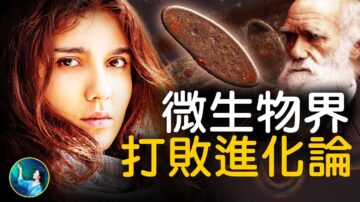 【未解之謎】挑戰進化論的微生物界