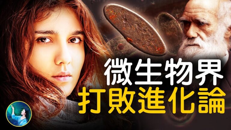 【未解之謎】挑戰進化論的微生物界