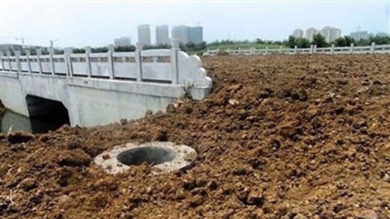 退林還耕製造大量貧瘠田無人願種 地方造假騙航拍