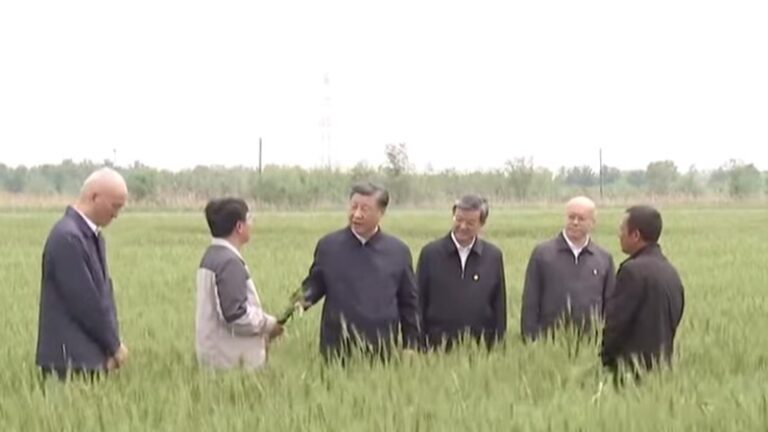 習近平河北考察現異常 雄安口罩捂臉 滄州無罩現身