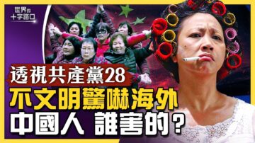 【十字路口】夸张举止惊吓海外 谁害中国人不文明？