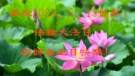 河北法轮功学员恭贺世界法轮大法日暨李洪志大师华诞(18条)