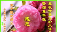 山东法轮功学员恭贺世界法轮大法日暨李洪志大师华诞(20条)