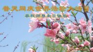 黑龙江法轮功学员恭贺世界法轮大法日暨李洪志大师华诞(20条)