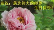 河南法轮功学员恭贺世界法轮大法日暨李洪志大师华诞(21条)