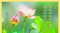 成都法轮功学员恭贺世界法轮大法日暨李洪志大师华诞(22条)