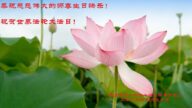 秦皇岛法轮功学员恭贺世界法轮大法日暨李洪志大师华诞(20条)